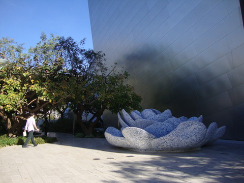 DSC08386