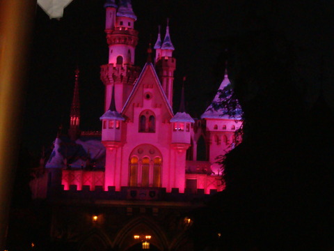 DSC08063