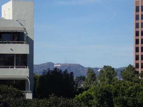 DSC08389