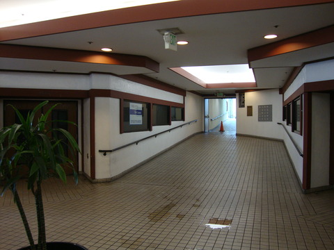 DSC07270