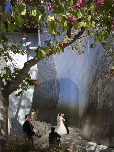 DSC08379