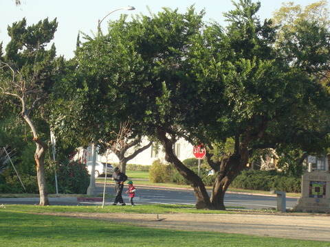 DSC07908