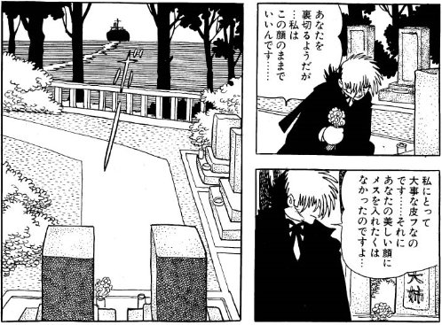 あなたの美しい顔にメスを入れたくはなかったのですよ