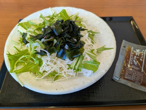 katuya5