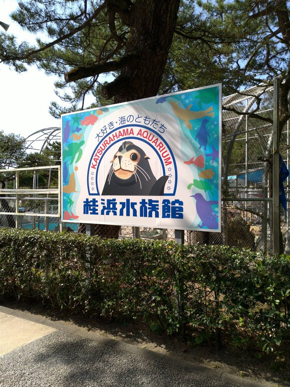 徒然ばそ日記 3rd Season 週刊少年チャンピオン16号感想 年 徒然ばそ日記 3rd Season 週刊少年チャンピオン16号感想 年