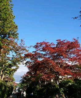 05b114f3.jpg