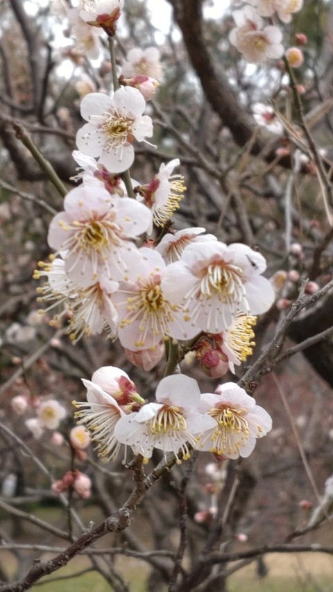 23-02-23-07-26-21-762_photo