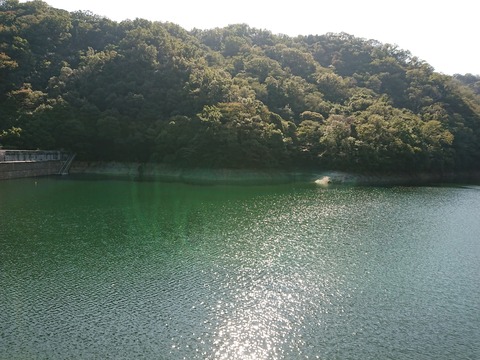 20-10-25-12-42-10-358_photo