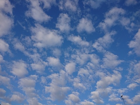 21-09-16-06-48-31-010_photo