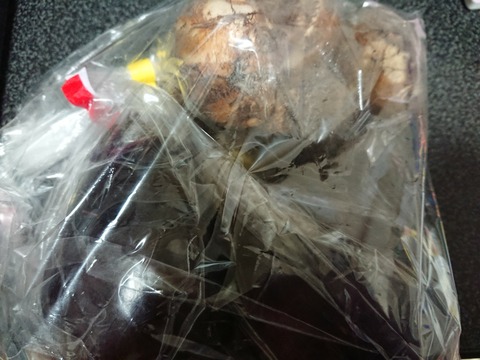 19-09-28-18-51-22-850_photo