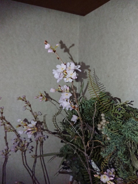 21-03-29-06-39-12-928_photo