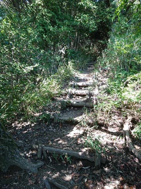 20-10-25-13-10-53-917_photo