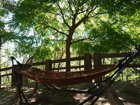 20-10-25-13-59-22-238_photo