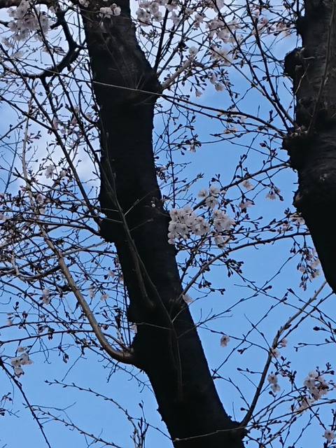 20-03-24-16-13-56-246_photo