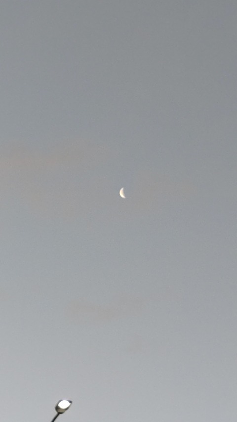 23-02-15-06-46-58-922_photo