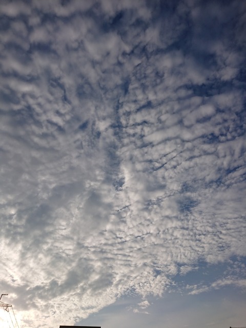 20-10-19-16-14-18-353_photo