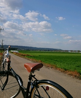 bc429a70.jpg