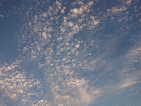 20-08-31-05-52-13-824_photo