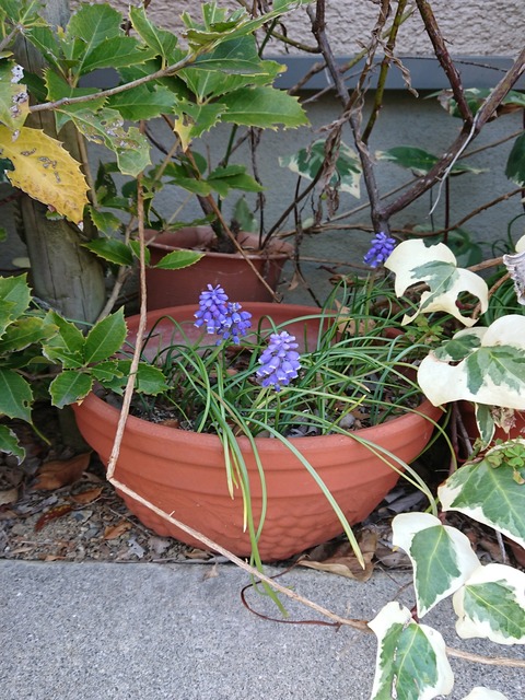 21-03-18-16-41-43-814_photo