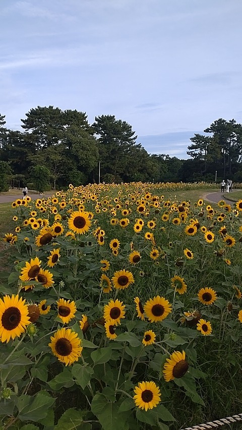 23-07-31-06-13-10-588_photo