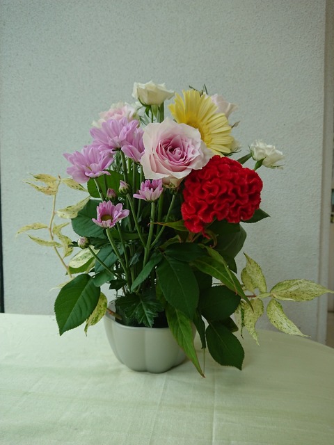 19-09-29-14-34-41-081_photo