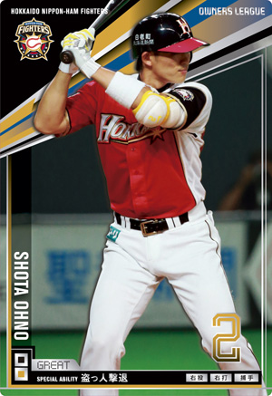北海道日本ハムファイターズ　大野奨太　支給キャッチャー防具 ハタケヤマ 北海道 日本ハム ファイターズ 大野 奨太 ミット