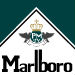 logo_ol00093733_2010070907