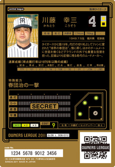 川籐裏