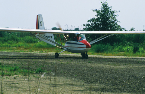 Yaegaki