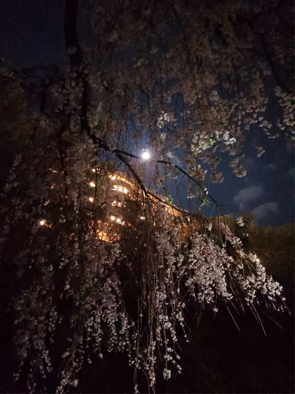20250411_235613
