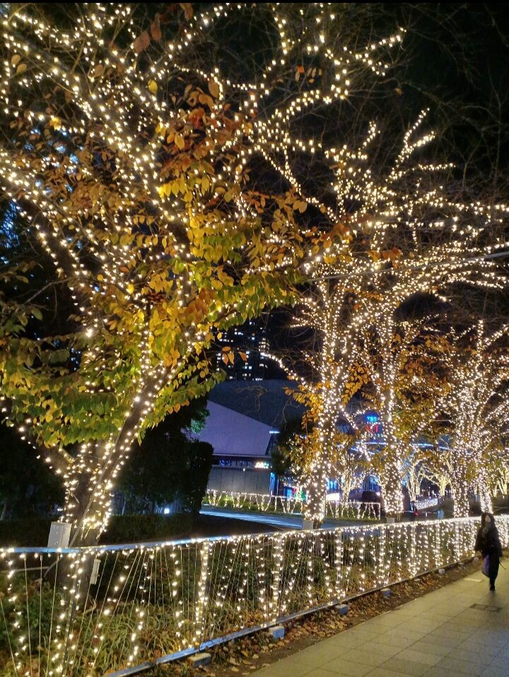 Screenshot_20251214_204219_Gallery