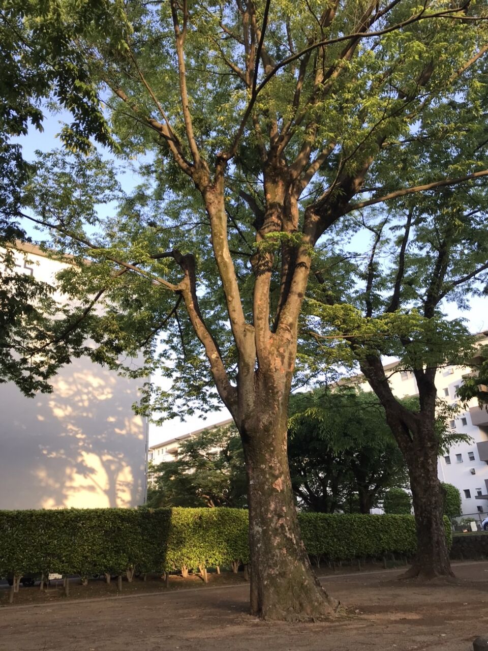 1746361848691