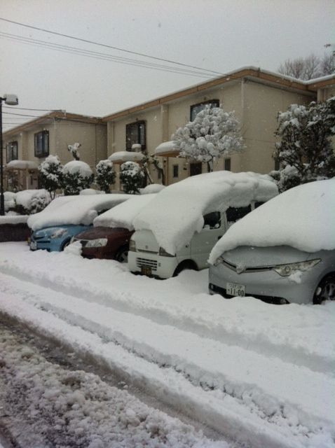 2012_2_29_1