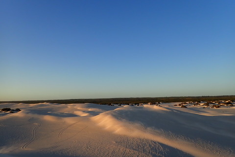 P5031004