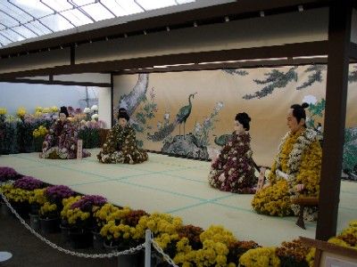お菊じゃなくて 菊人形 Banianntree