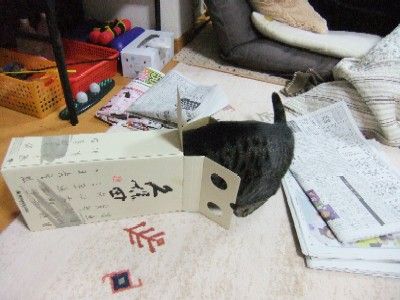 イメージ 2