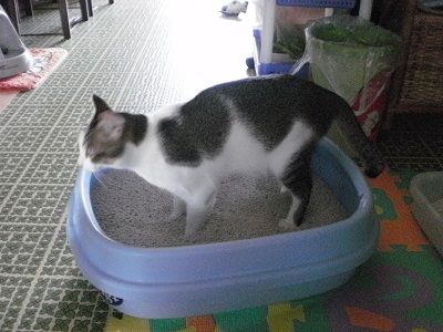イメージ 3