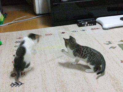 イメージ 3