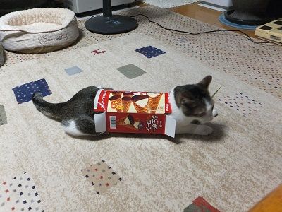 イメージ 2