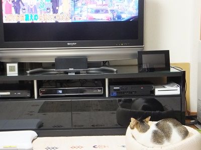 イメージ 6