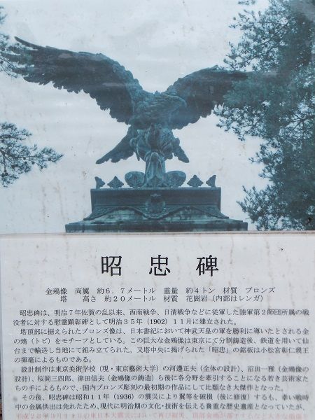 イメージ 5