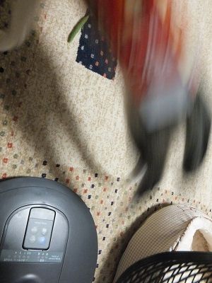 イメージ 4