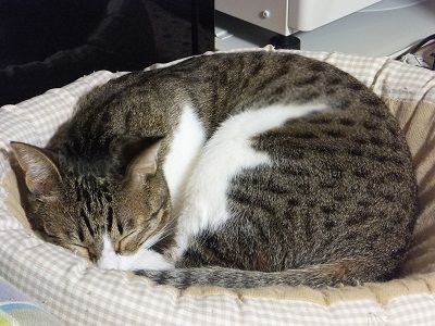 イメージ 8