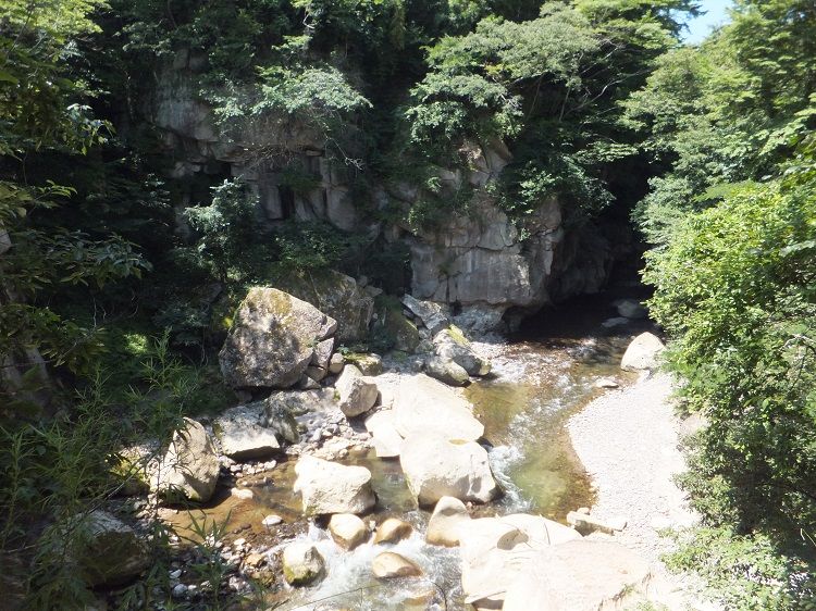 イメージ 3