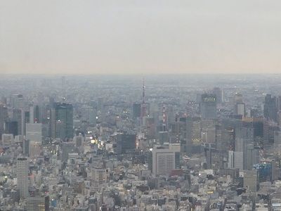 イメージ 4