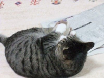 イメージ 4