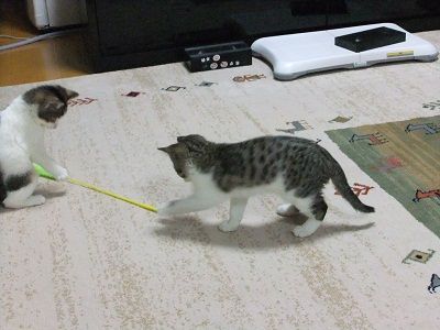 イメージ 2