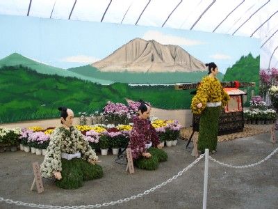 お菊じゃなくて 菊人形 Banianntree お菊じゃなくて 菊人形 Banianntree