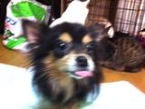 2012227ゆーたん2