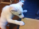 2012331うるる1